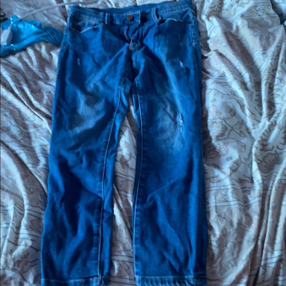 BDG TWIG GRAZER HIGH RISE